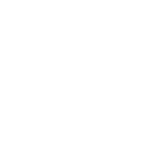 sun flower