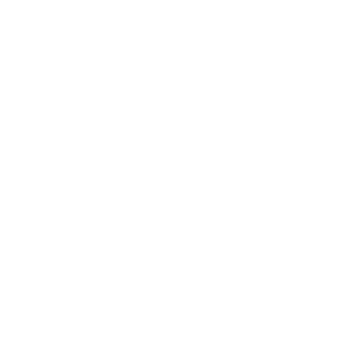 weso pet clinc